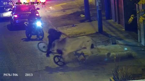 toro pornhub|Un toro escapa en Perú y embiste a dos personas .